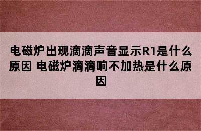 电磁炉出现滴滴声音显示R1是什么原因 电磁炉滴滴响不加热是什么原因